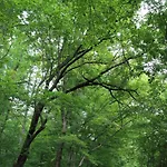 Forellenhof